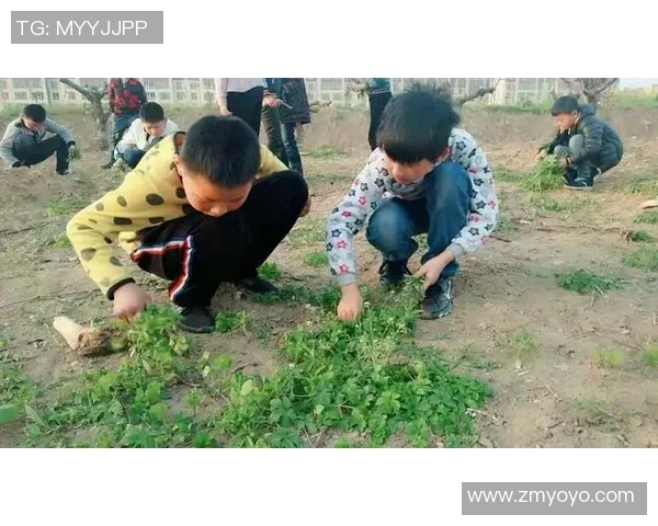 泗洪县业余足球比赛精彩直播全程回顾与精彩瞬间分享