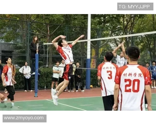 辽宁卫视体育频道全新升级打造多元化体育盛宴引领观众热情参与